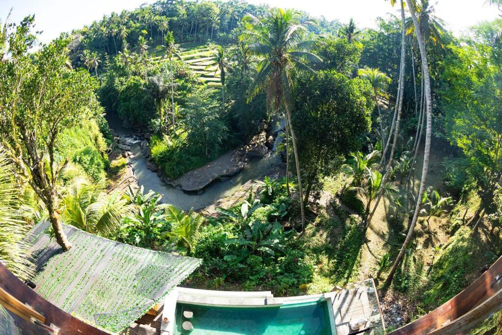 Riverside Ubud (Bali)