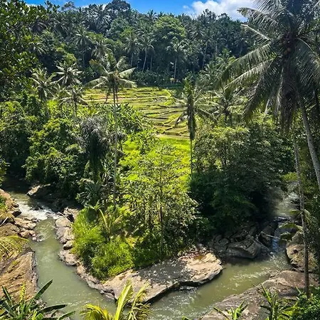 Ubud Riverside Villa Exterior photo